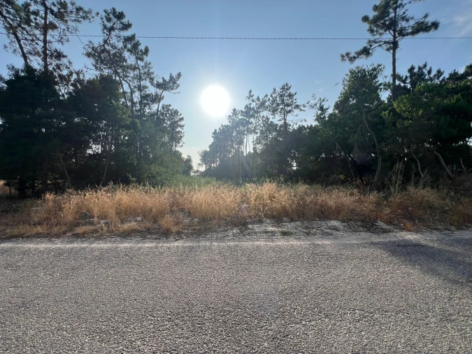 Terreno para Venda em Gafanha da Encarnação Foto 3
