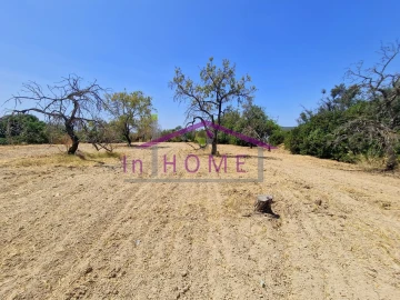 Moradia T4 para Venda em Loule (São Clemente)