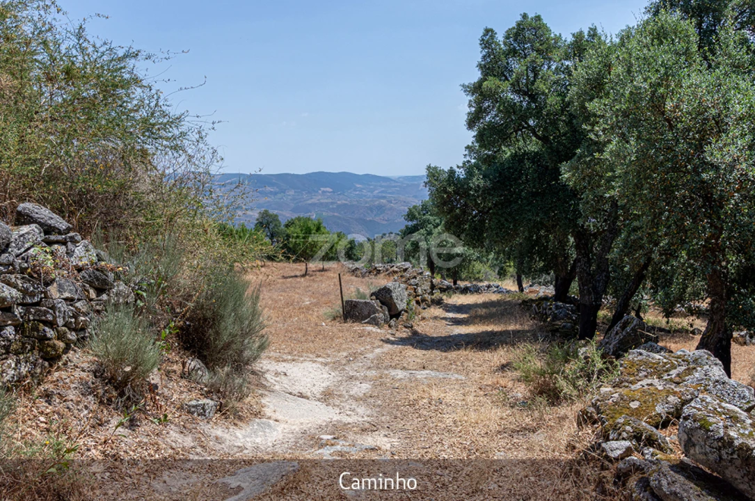 Quinta T1 para Venda em Lousa Foto 3