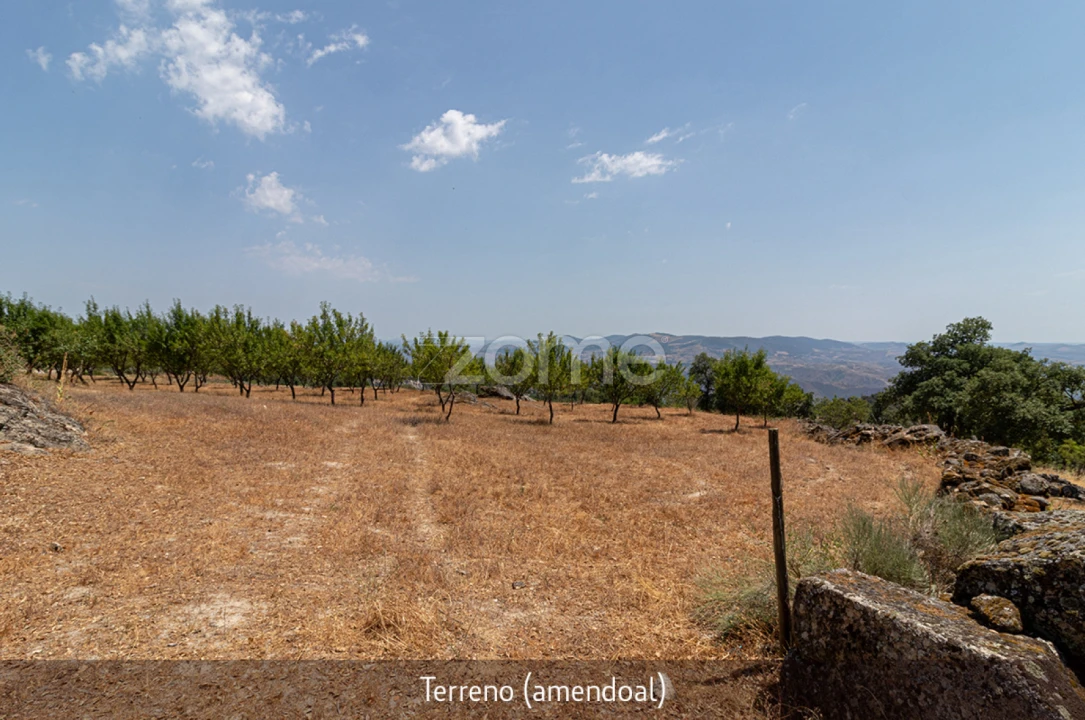 Quinta T1 para Venda em Lousa Foto 4