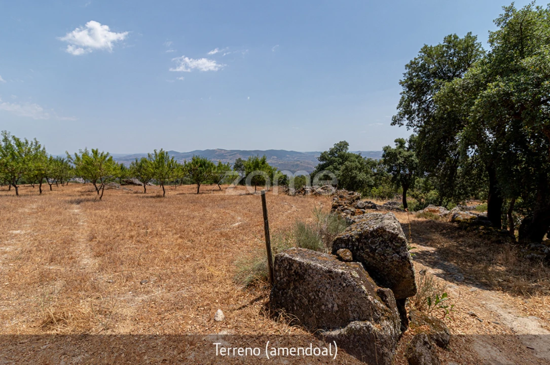Quinta T1 para Venda em Lousa Foto 5