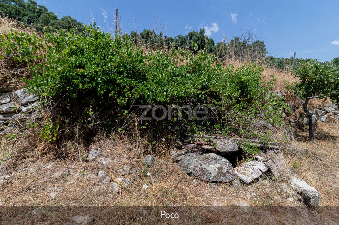 Quinta T1 para Venda em Lousa Foto 26