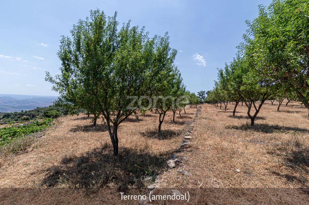 Quinta T1 para Venda em Lousa Foto 28