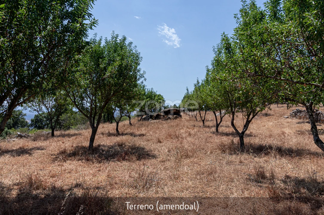 Quinta T1 para Venda em Lousa Foto 30