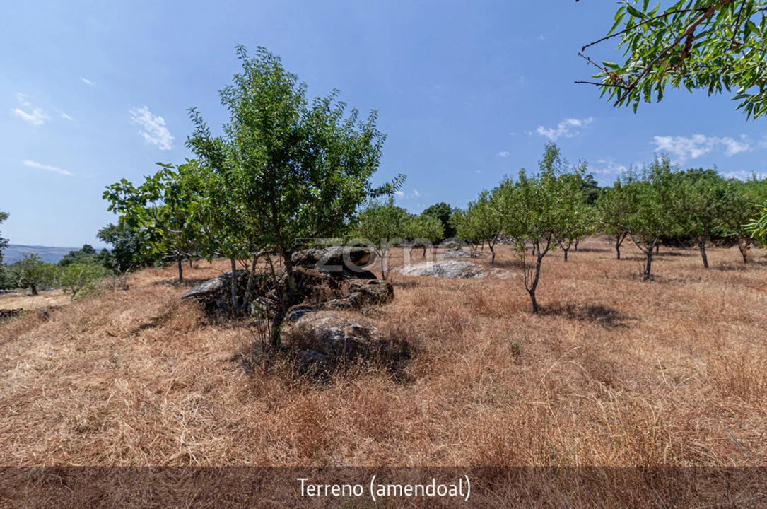 Quinta T1 para Venda em Lousa Foto 32