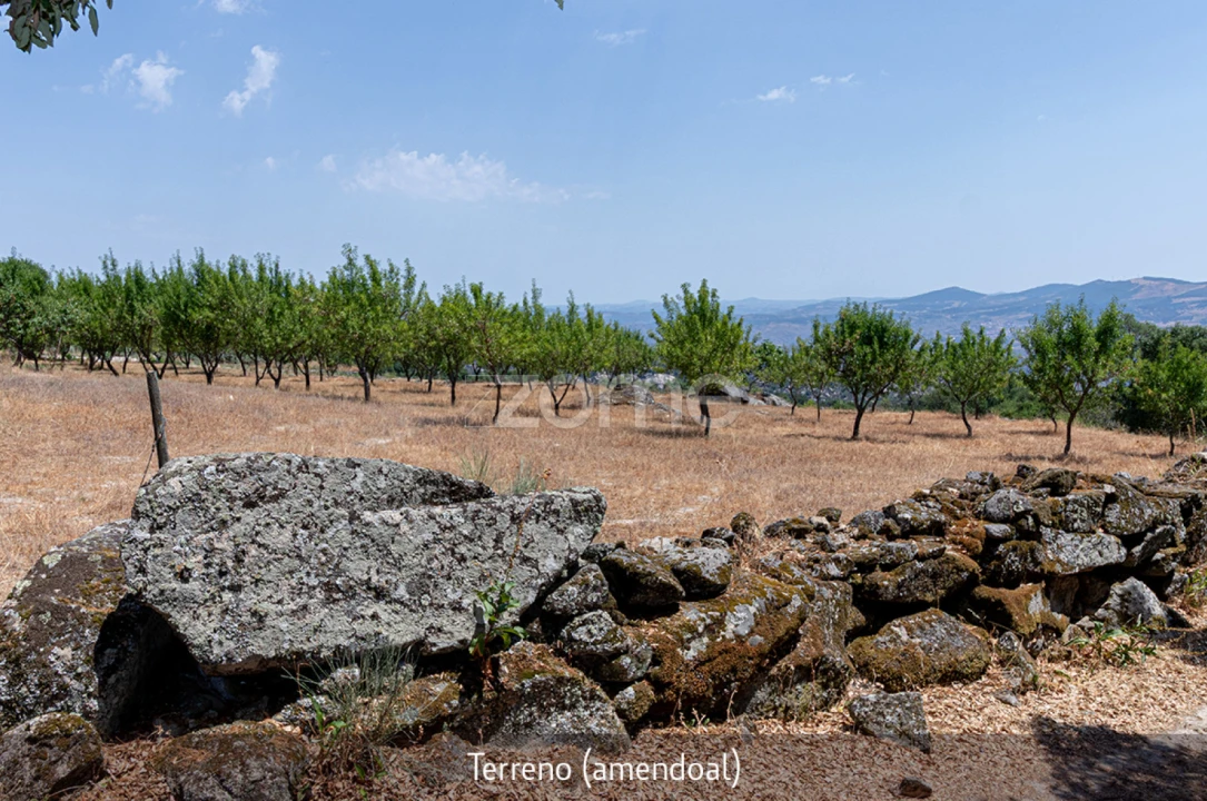 Quinta T1 para Venda em Lousa Foto 37