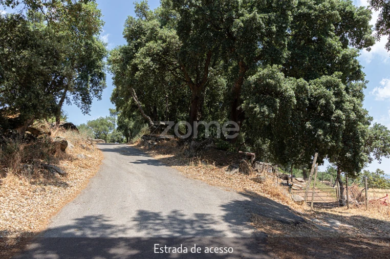 Quinta T1 para Venda em Lousa Foto 2