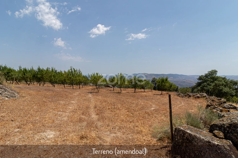 Quinta T1 para Venda em Lousa Foto 4