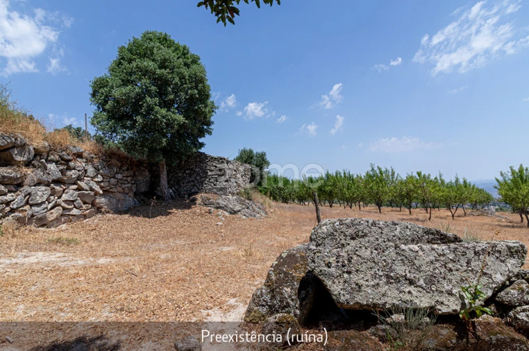 Quinta T1 para Venda em Lousa Foto 11