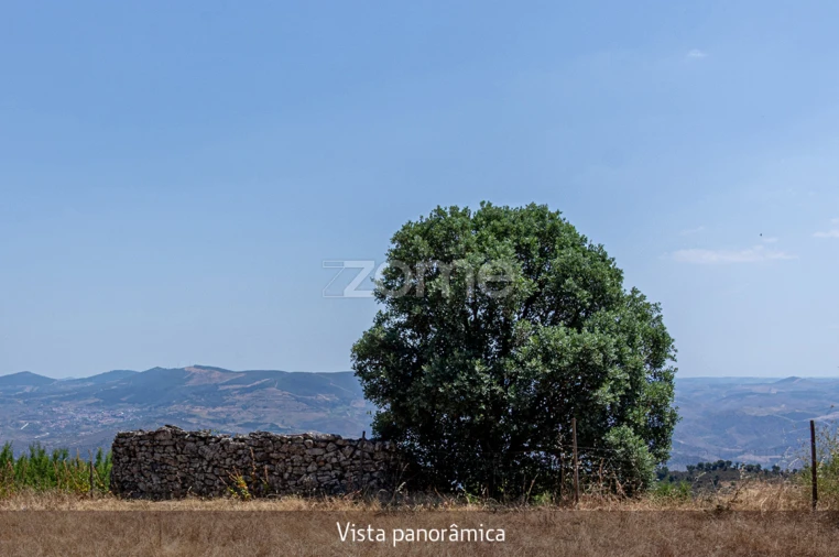 Quinta T1 para Venda em Lousa Foto 20