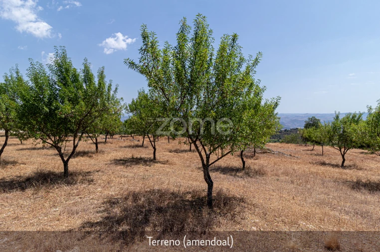 Quinta T1 para Venda em Lousa Foto 23