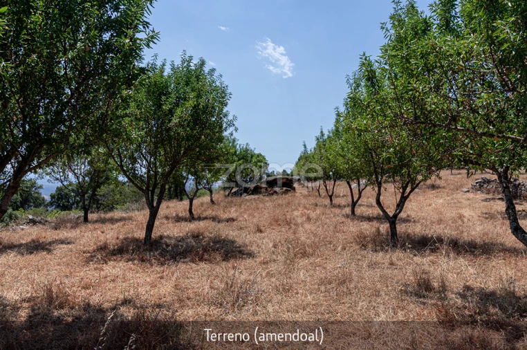 Quinta T1 para Venda em Lousa Foto 30