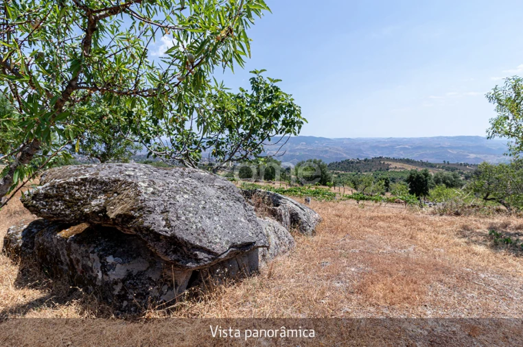 Quinta T1 para Venda em Lousa Foto 35