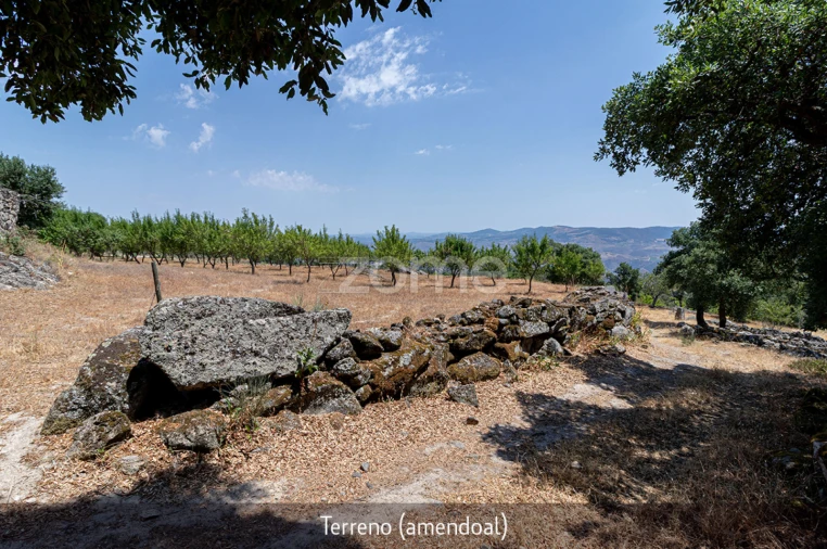 Quinta T1 para Venda em Lousa Foto 36