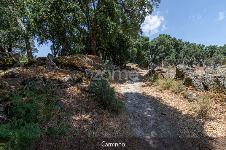 Quinta T1 para Venda em Lousa Foto 1