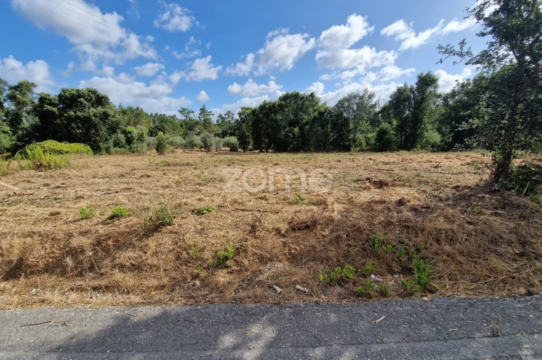 Terreno para Venda em Soure Foto 2