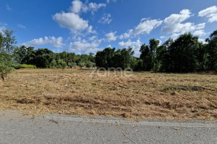 Terreno para Venda em Soure Foto 3