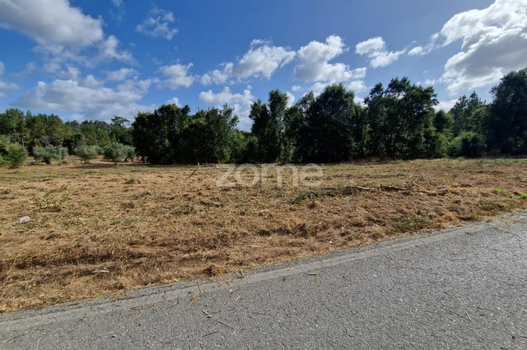 Terreno para Venda em Soure Foto 4