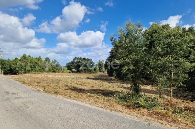 Terreno para Venda em Soure Foto 5