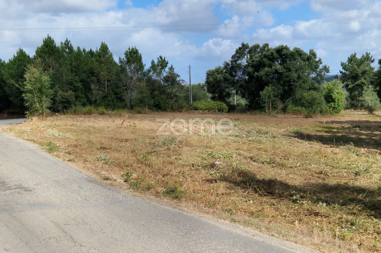 Terreno para Venda em Soure Foto 7