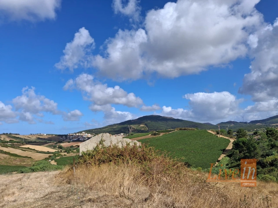 Terreno para Venda em Enxara do Bispo, Gradil e Vila Franca do Rosário Foto 3