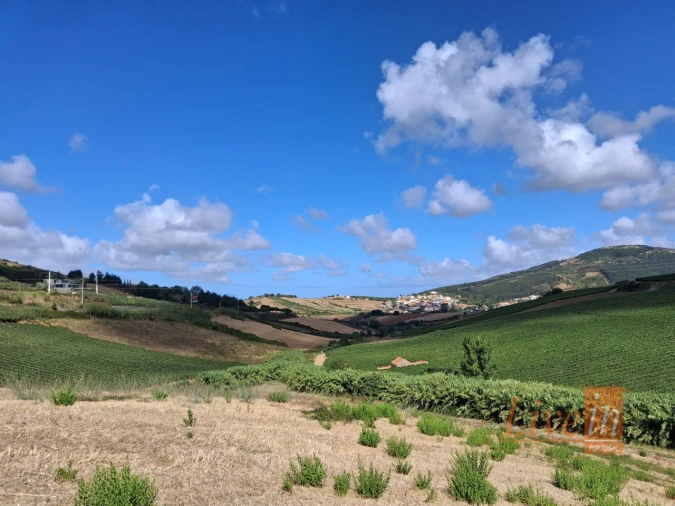 Terreno para Venda em Enxara do Bispo, Gradil e Vila Franca do Rosário Foto 2