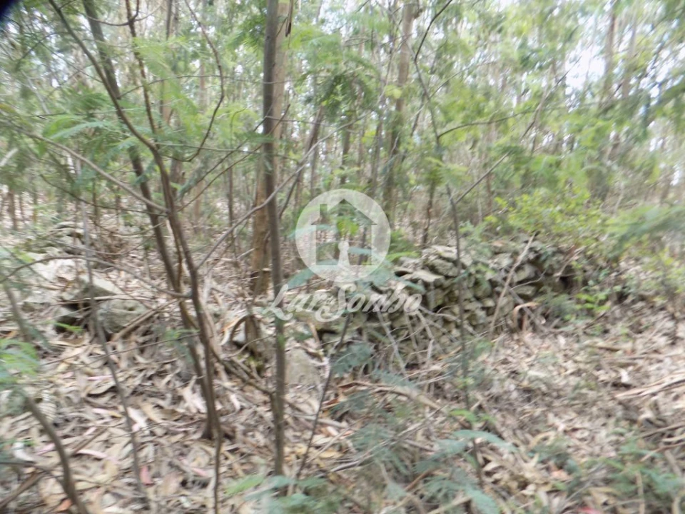 Terreno para Venda em Aver-O-Mar, Amorim e Terroso Foto 9