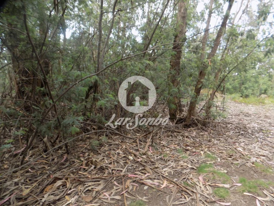 Terreno para Venda em Aver-O-Mar, Amorim e Terroso Foto 10