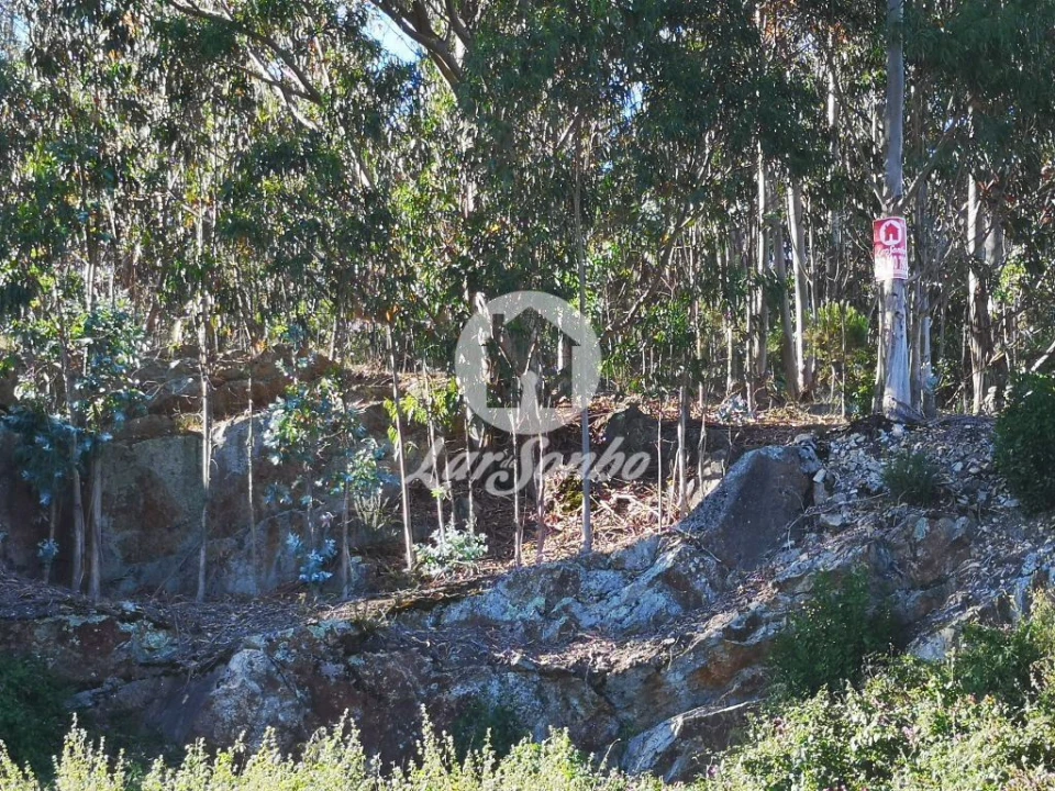 Terreno para Venda em Aver-O-Mar, Amorim e Terroso Foto 5