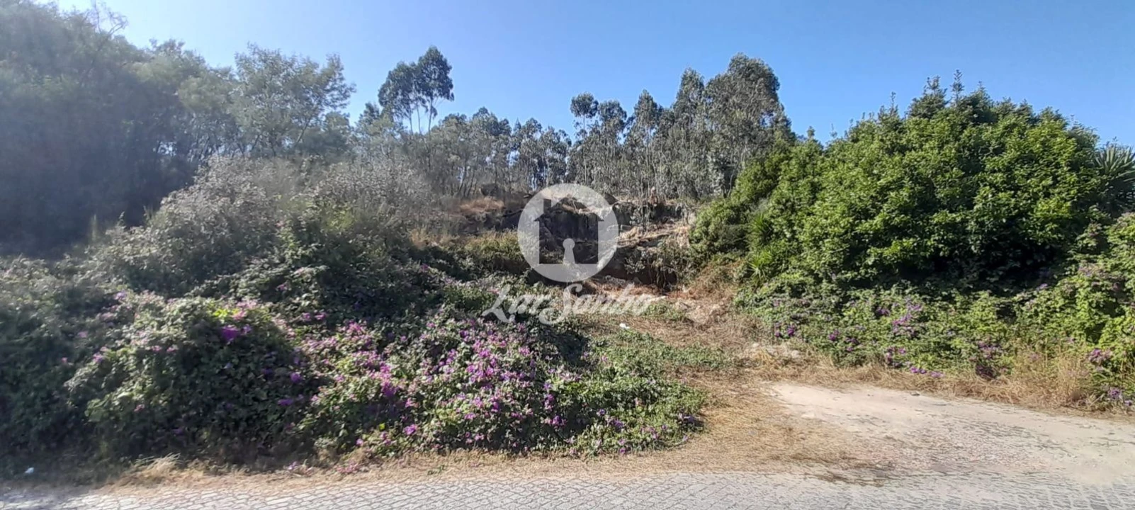 Terreno para Venda em Aver-O-Mar, Amorim e Terroso Foto 3