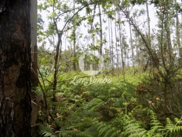 Terreno para Venda em Aver-O-Mar, Amorim e Terroso