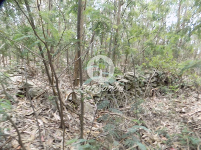 Terreno para Venda em Aver-O-Mar, Amorim e Terroso Foto 9