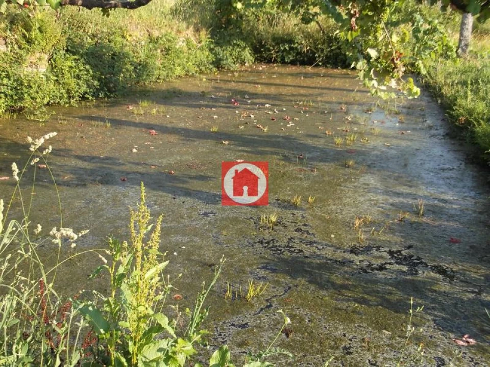 Quinta T6 para Venda em Castelo do Neiva Foto 11