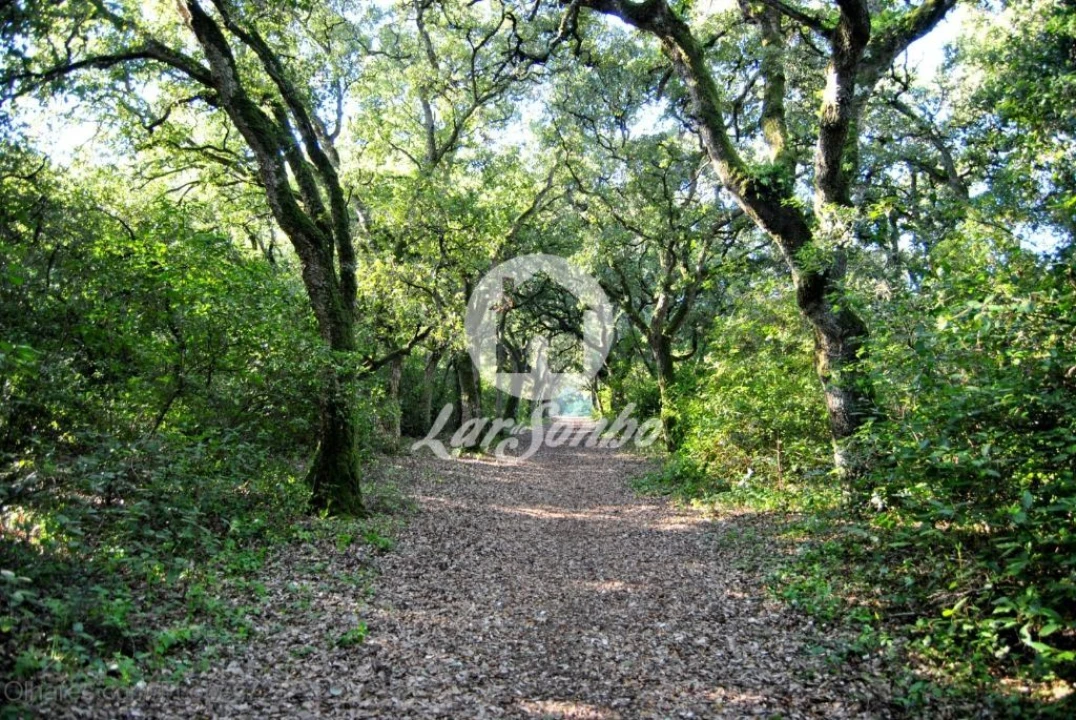 Quinta T6 para Venda em Castelo do Neiva Foto 2