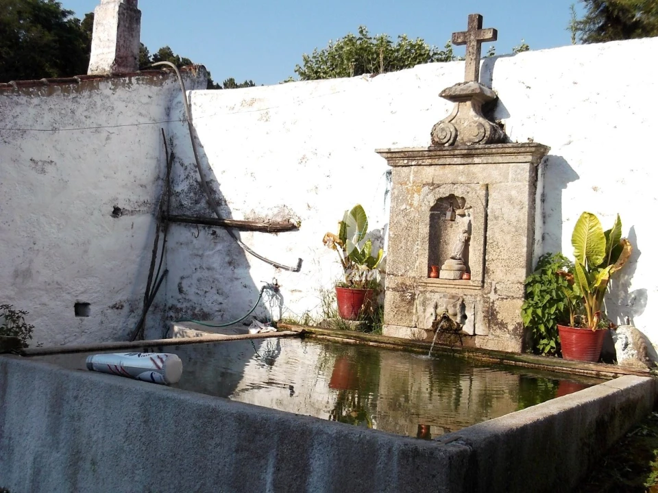 Quinta T6 para Venda em Castelo do Neiva Foto 19