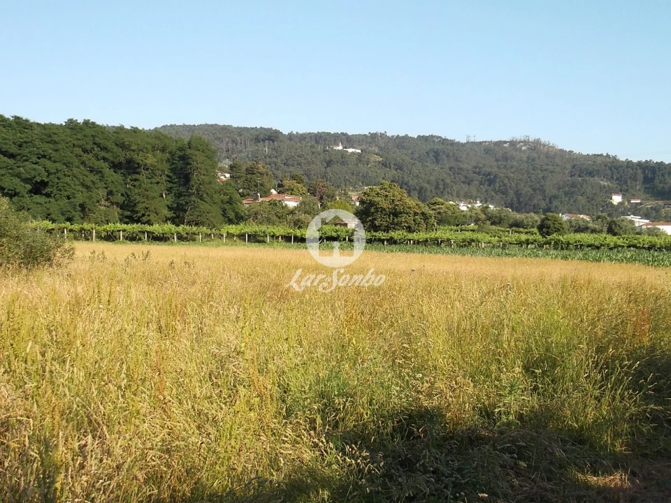 Quinta T6 para Venda em Castelo do Neiva Foto 24