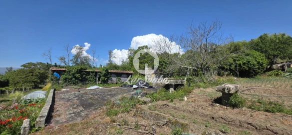 Quinta T6 para Venda em Castelo do Neiva