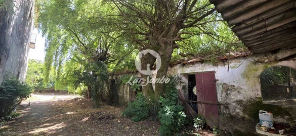 Quinta T6 para Venda em Castelo do Neiva