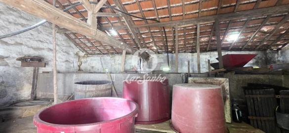 Quinta T6 para Venda em Castelo do Neiva