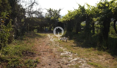 Quinta T6 para Venda em Castelo do Neiva