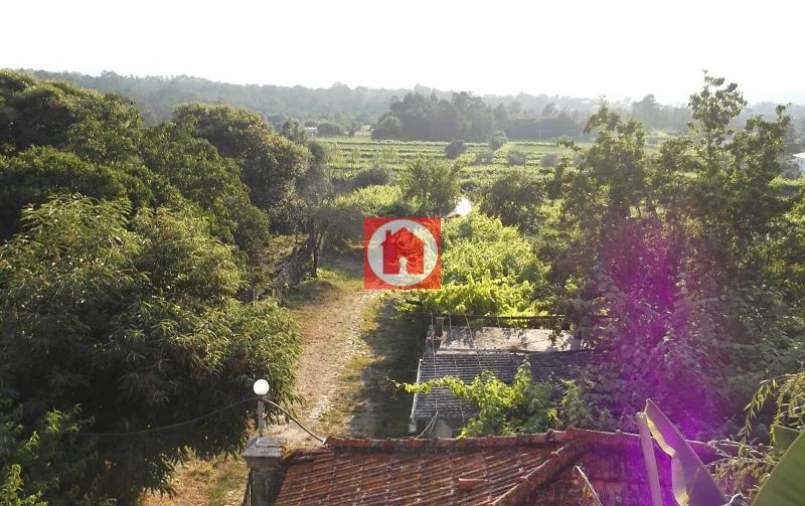 Quinta T6 para Venda em Castelo do Neiva Foto 13