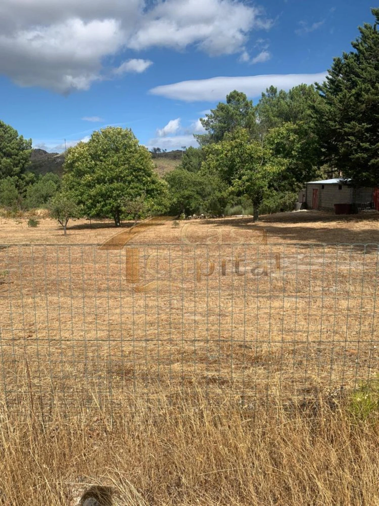 Terreno para Venda em São Tomé do Castelo e Justes Foto 6