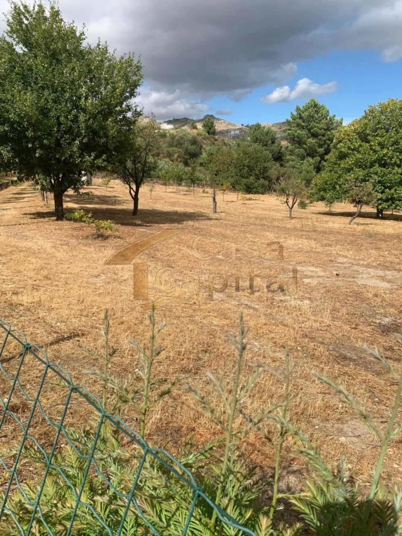 Terreno para Venda em São Tomé do Castelo e Justes Foto 7