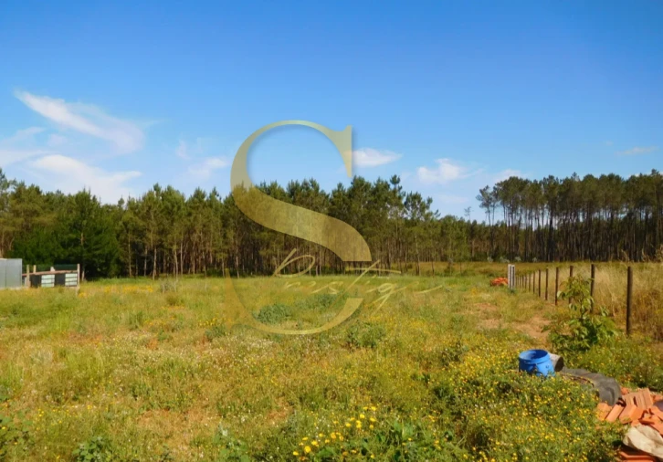 Moradia T7 para Venda em Bidoeira de Cima Foto 45