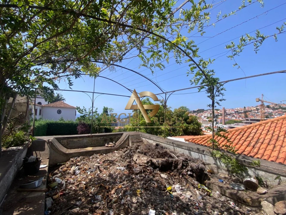 Loja para Venda em Funchal (Santa Luzia) Foto 32