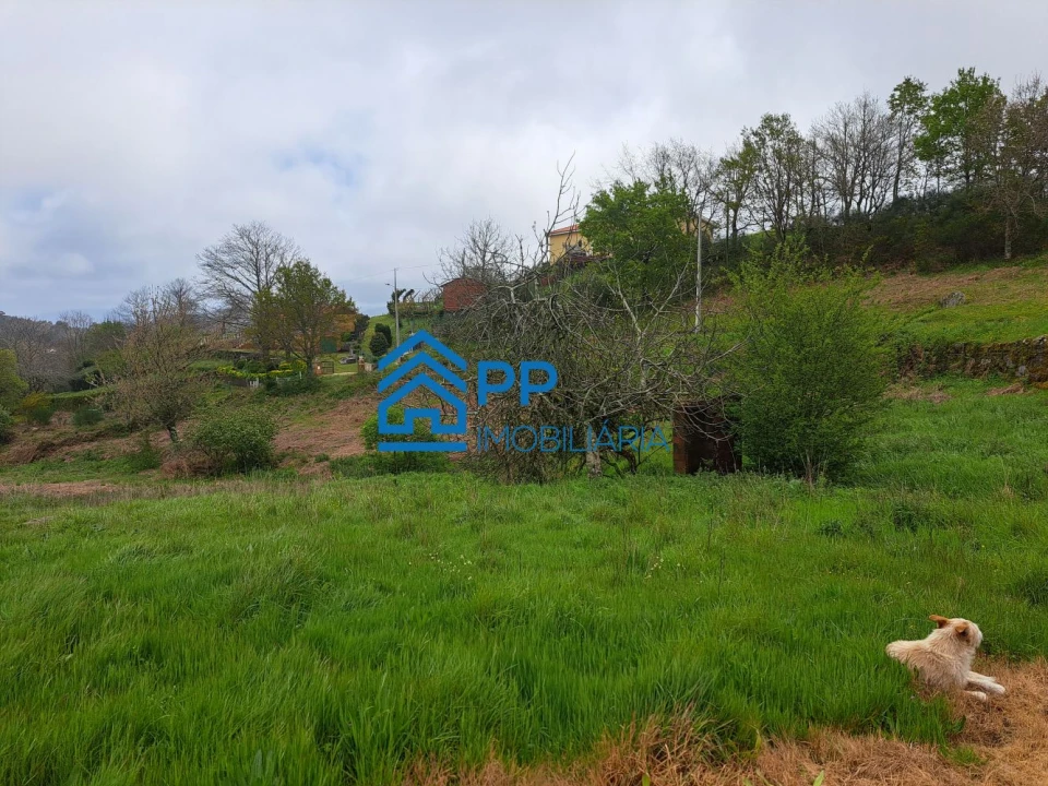 Quinta T3 para Venda em Gestaço Foto 22