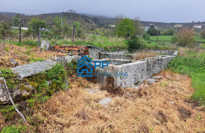 Quinta T3 para Venda em Gestaço Foto 10