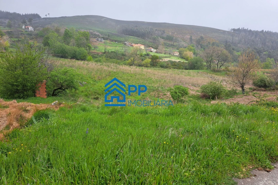 Quinta T3 para Venda em Gestaço Foto 3