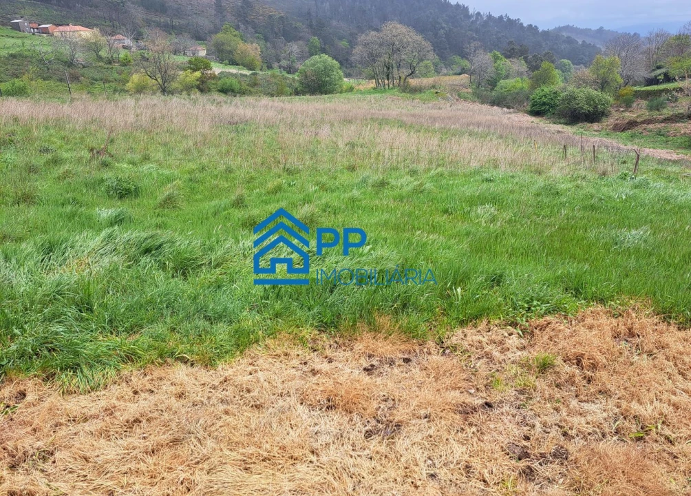 Quinta T3 para Venda em Gestaço Foto 8