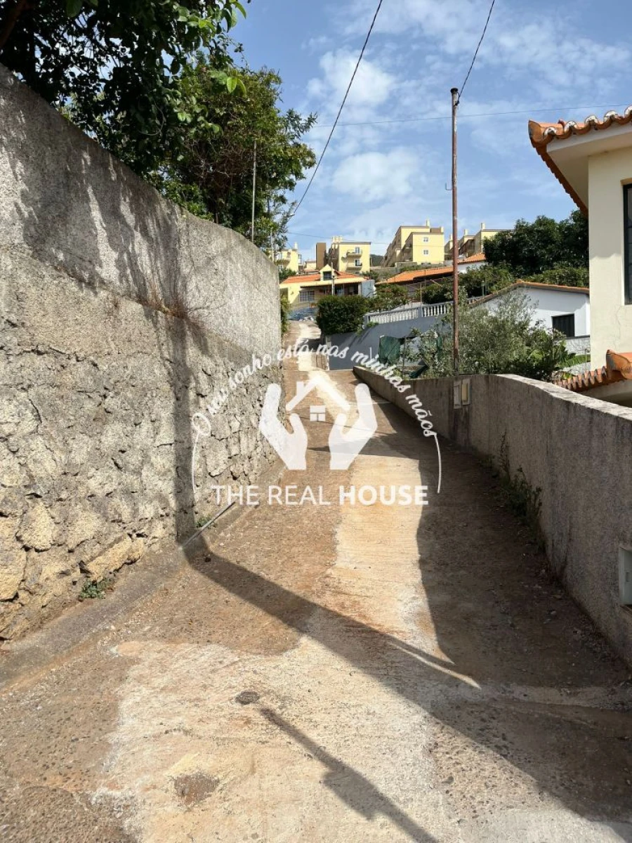 Terreno para Arrendamento em Santa Cruz Foto 5